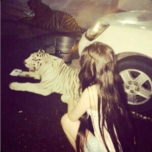 Meet your Posher, Najma